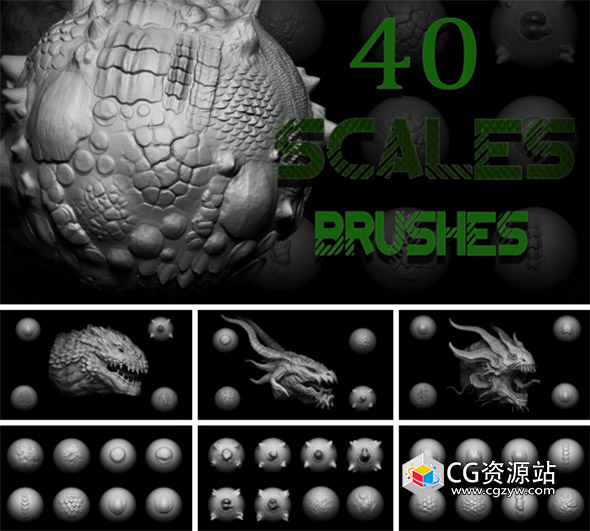 40 scales and skins brushes