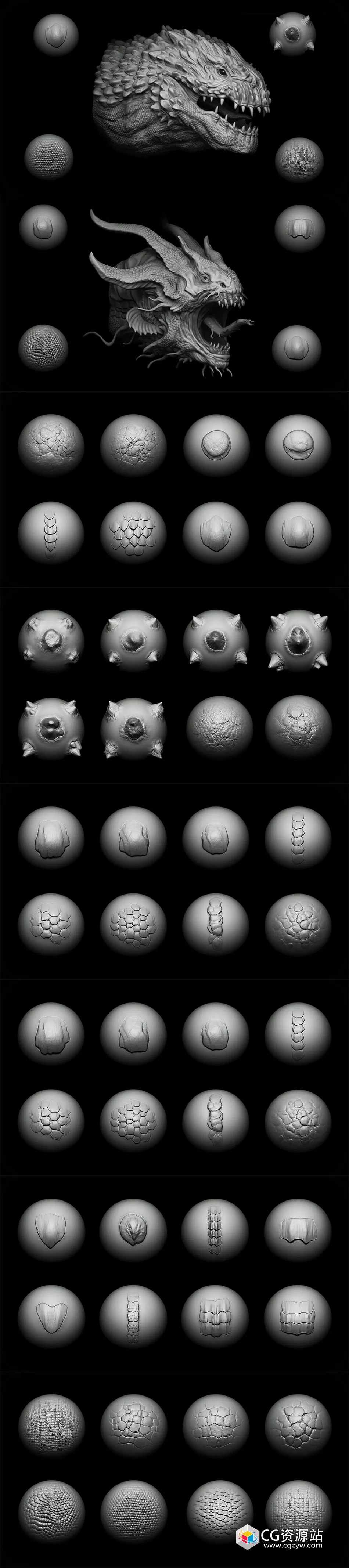 40 scales and skins brushes
