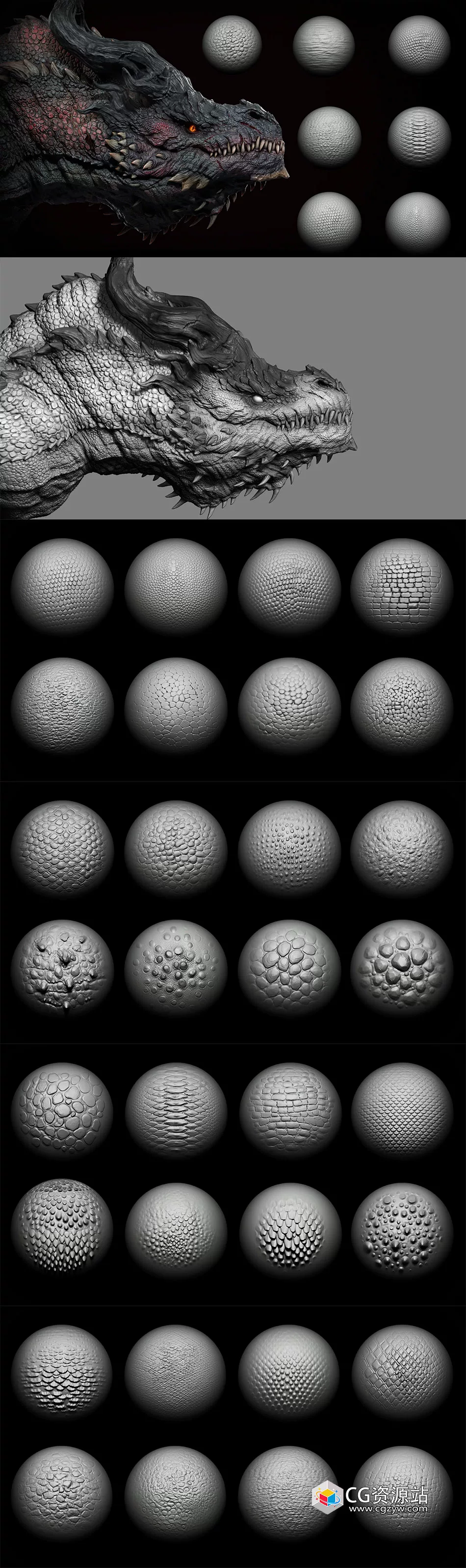40 dragons and reptiles skins brushes
